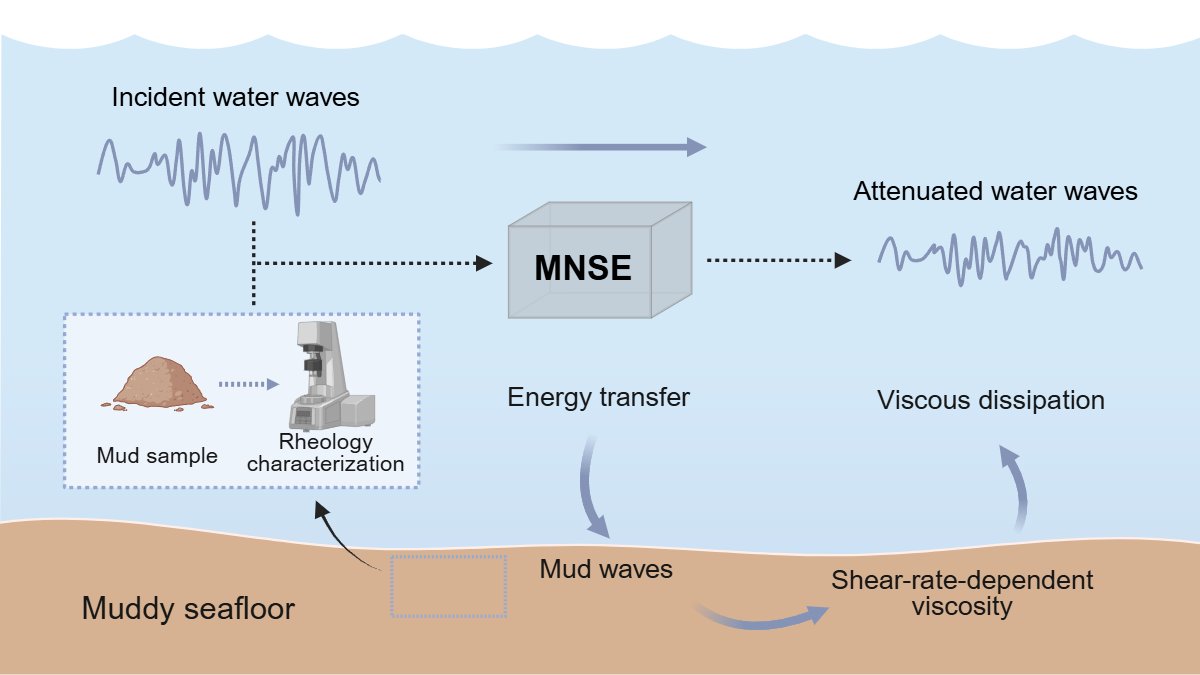 Graphical abstract: Sediment rheology governs wave damping over muddy shelves